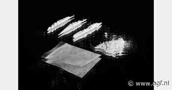 Twee ton cocaïne onderschept in fruitcontainer naar Zweden