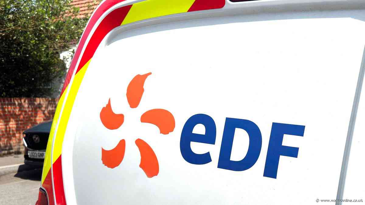 EDF customers can get hours of free electricity with date set