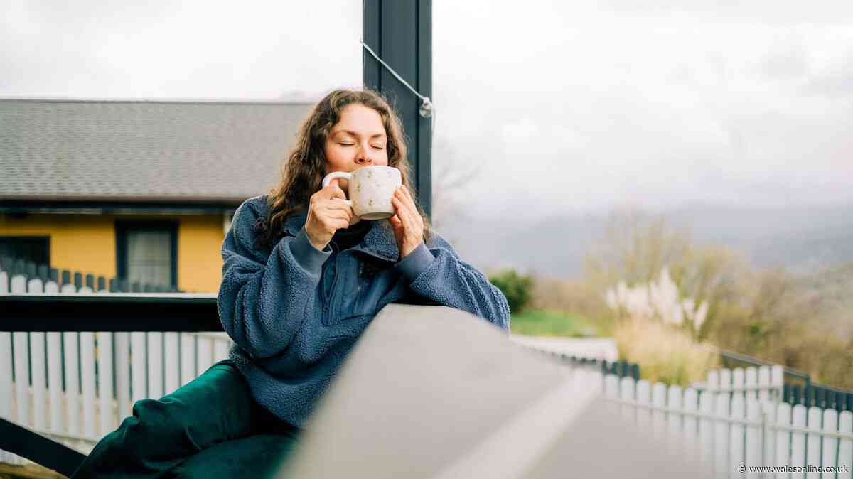The three-ingredient natural cold remedy drink you need this winter