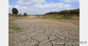 Nederland moet landgebruik aanpassen aan frequentere droogtes