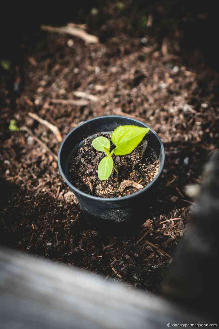 HTA: Autumn Budget Must Recognise The Businesses Behind Green Growth