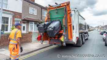 Binman warns your bin will only be half-emptied if you make common mistake