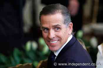 Hunter Biden launching crypto meme coin poking fun at infamous scandal