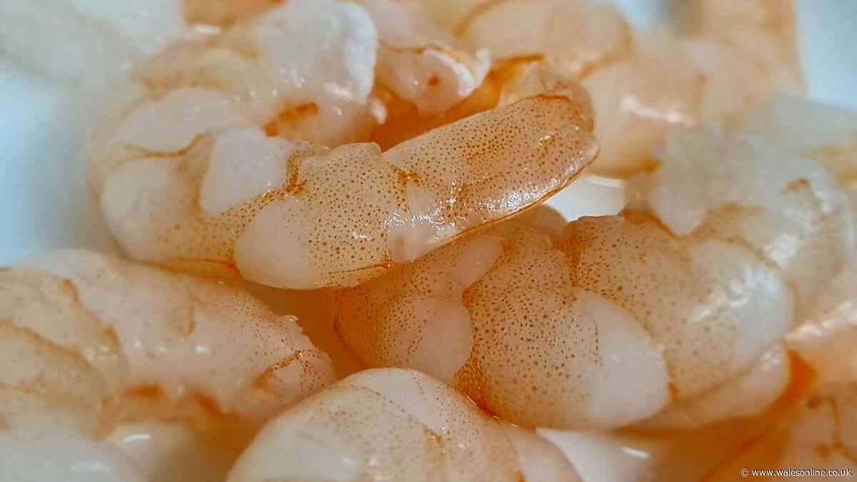 Simple way to tell if your prawns have gone bad – and why you shouldn't always bin them