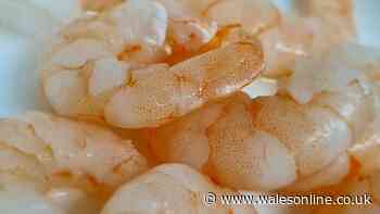 Simple way to tell if your prawns have gone bad – and why you shouldn't always bin them