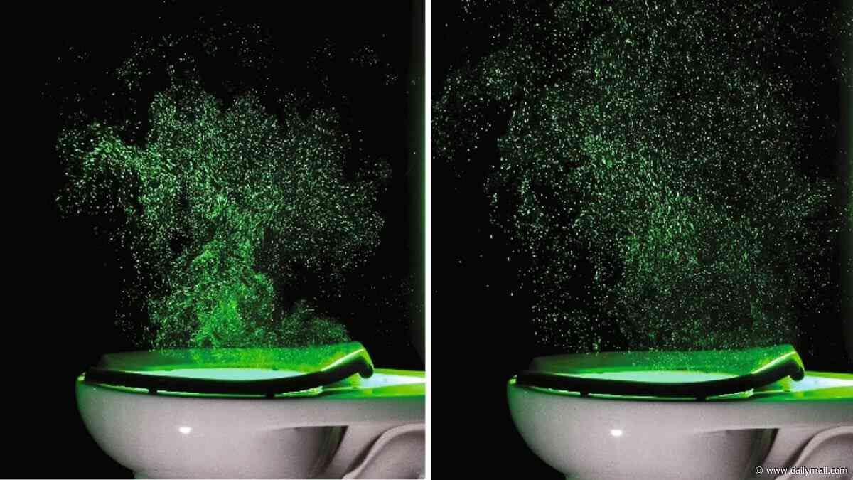 Why you should always close the lid before you flush the toilet: Disgusting study reveals how particles linger in your 'breathing zone' for at least 20 seconds