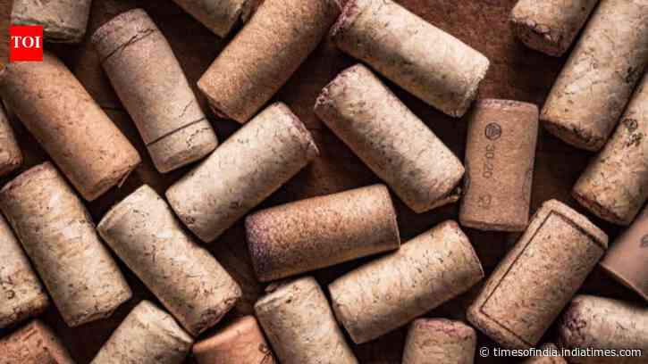 Why are gardeners putting corks in their potted plants? The surprising reason behind this gardening hack