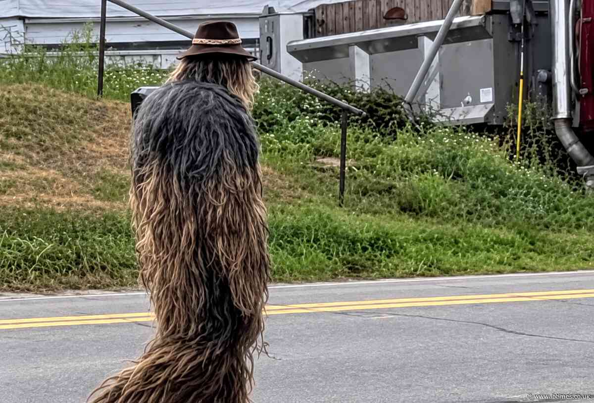 Police Hunt for Mysterious 'Bigfoot' Man in a Small Town Ends in Unexpected Twist