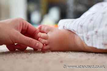Local areas with highest and lowest fertility rates revealed