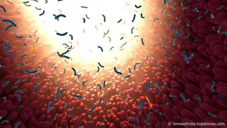 Hidden gut bacteria populations linked to ageing, cancer and type 2 diabetes may spread worldwide