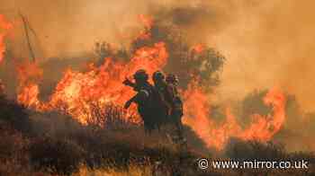 Brits warned as Greek islands face ‘Code Red’ alert over ‘very high’ wildfire risk