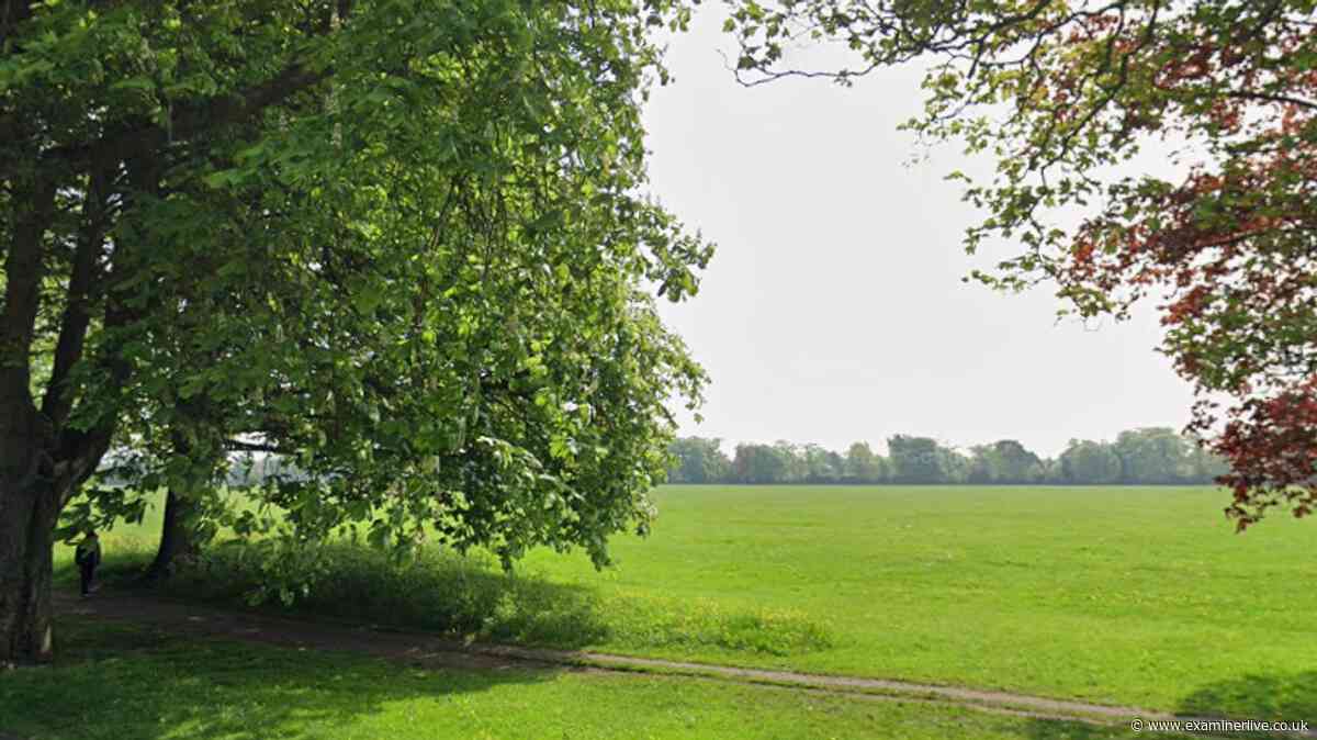 Woman sexually assaulted in Harrogate by man 'running past'