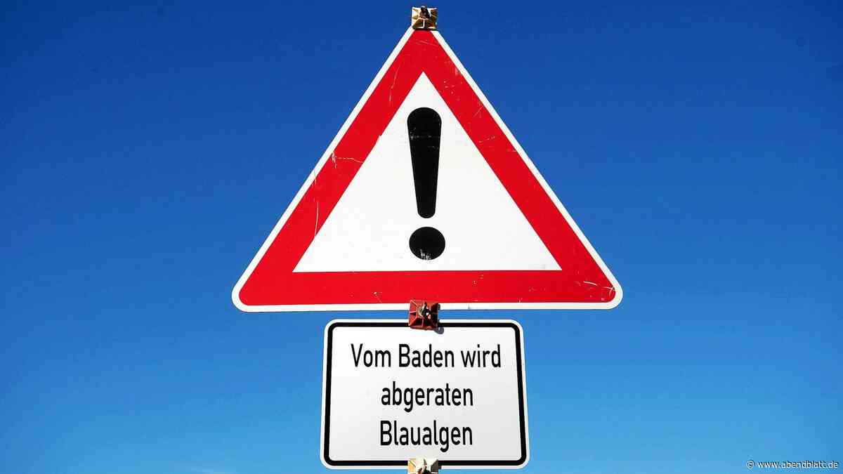 Bezirksamt sperrt wieder einen Badesee in Bergedorf