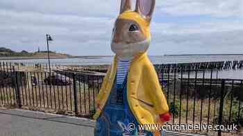 Excitement as Peter Rabbit Tales on the Tyne sculptures to go up for auction