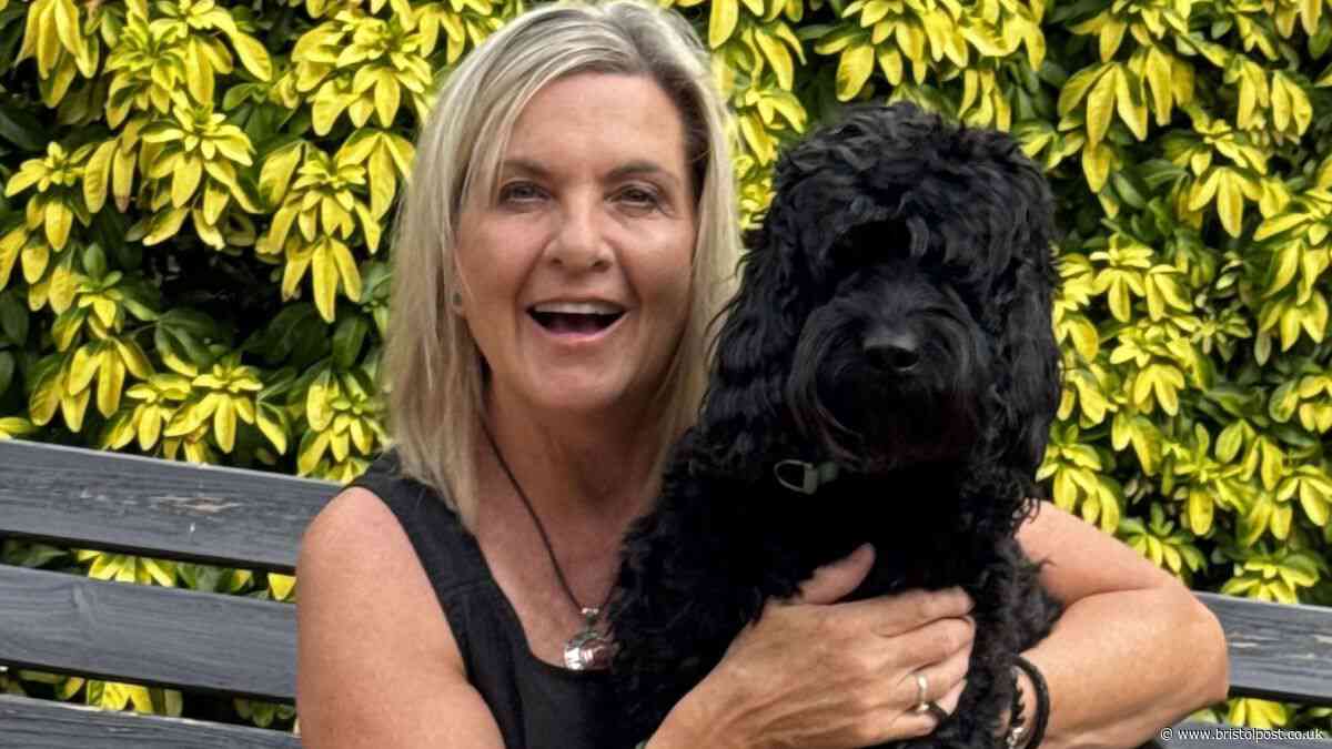 'I almost lost my dog': Mum's urgent warning to pet owners after simple beach mistake
