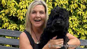 'I almost lost my dog': Mum's urgent warning to pet owners after simple beach mistake