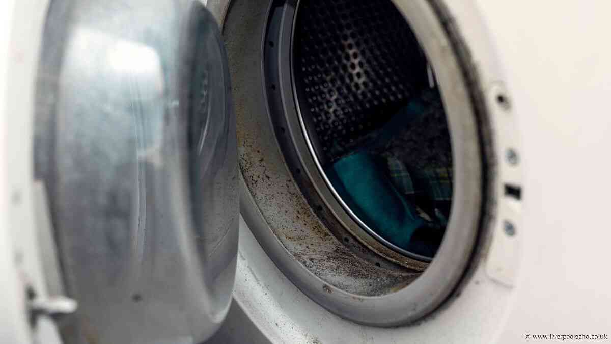 Remove tough washing machine mould with 'powerful' 3-ingredient spray