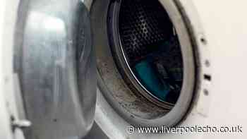 Remove tough washing machine mould with 'powerful' 3-ingredient spray