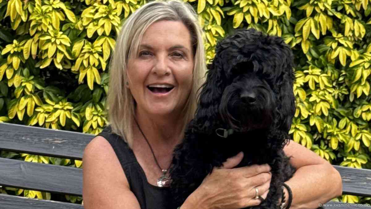 'I almost lost my dog after summer beach trip': Mum's urgent warning to pet owners