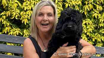 'I almost lost my dog after summer beach trip': Mum's urgent warning to pet owners