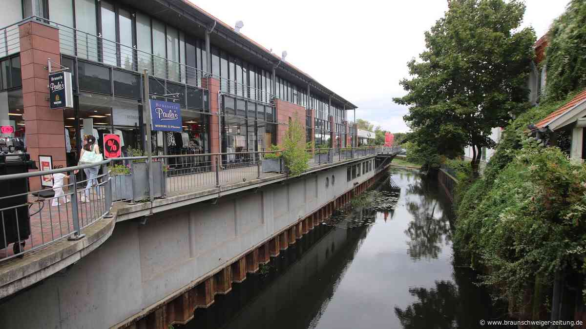 Gifhorn baut Radweg übers Allerwasser – Bund gibt 4,35 Millionen Euro dazu