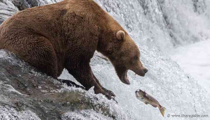 BigBear phishing crew nets thousands of Microsoft 365 credentials
