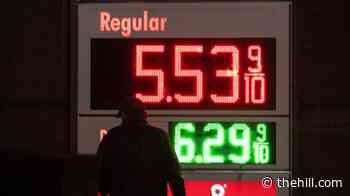 Trump: Oil prices 'will drop precipitously' after Iran war win