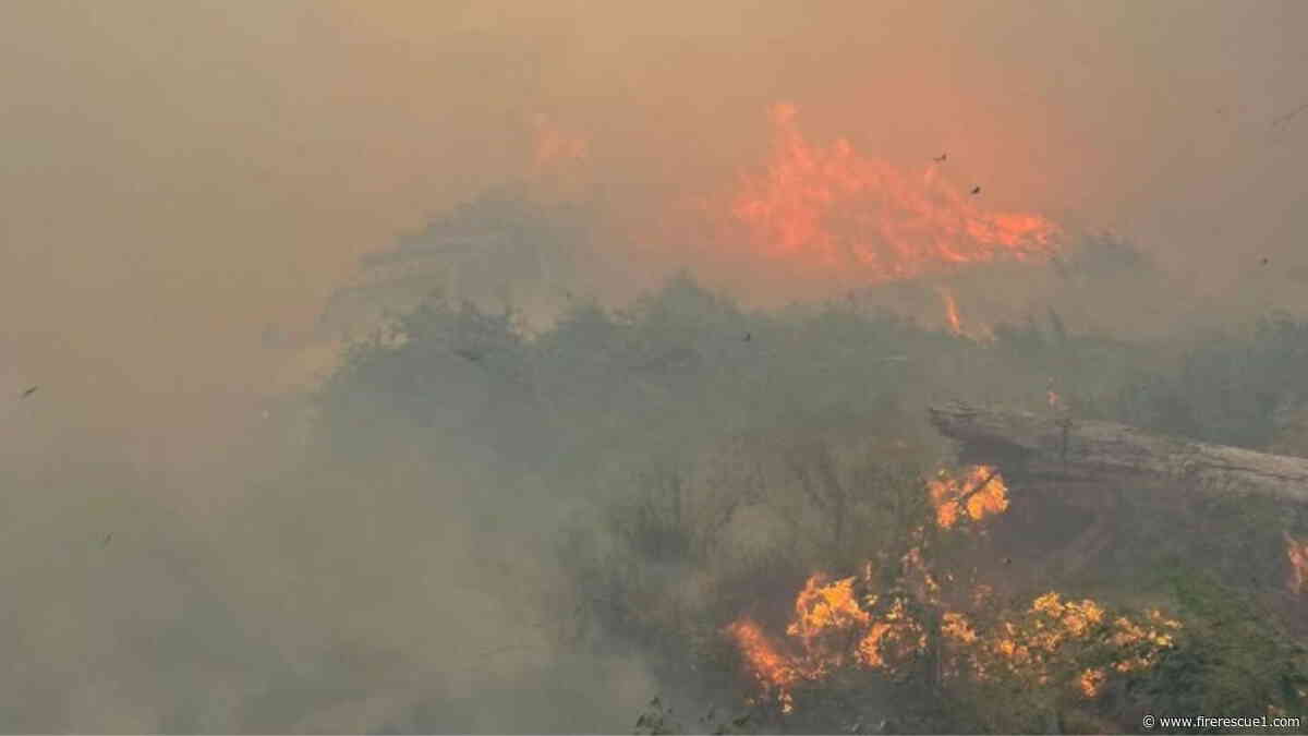 Report details firefighter entrapments, escapes during Wash. wildfire