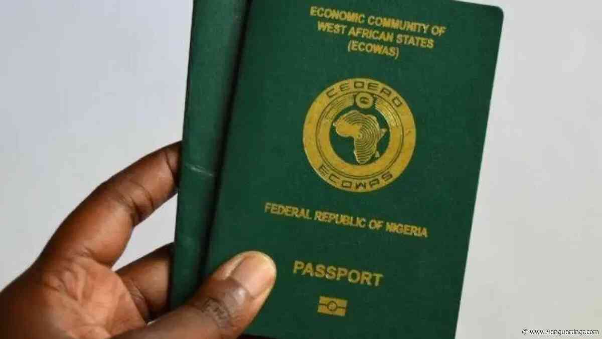 Step-to-step: How Nigerians abroad can renew passports without visiting embassy