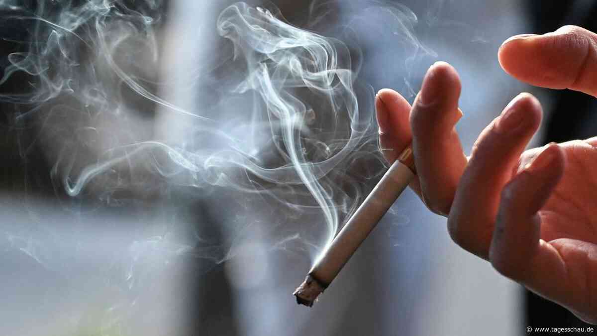 Rauchen senkt laut WHO Chance auf Schwangerschaft deutlich