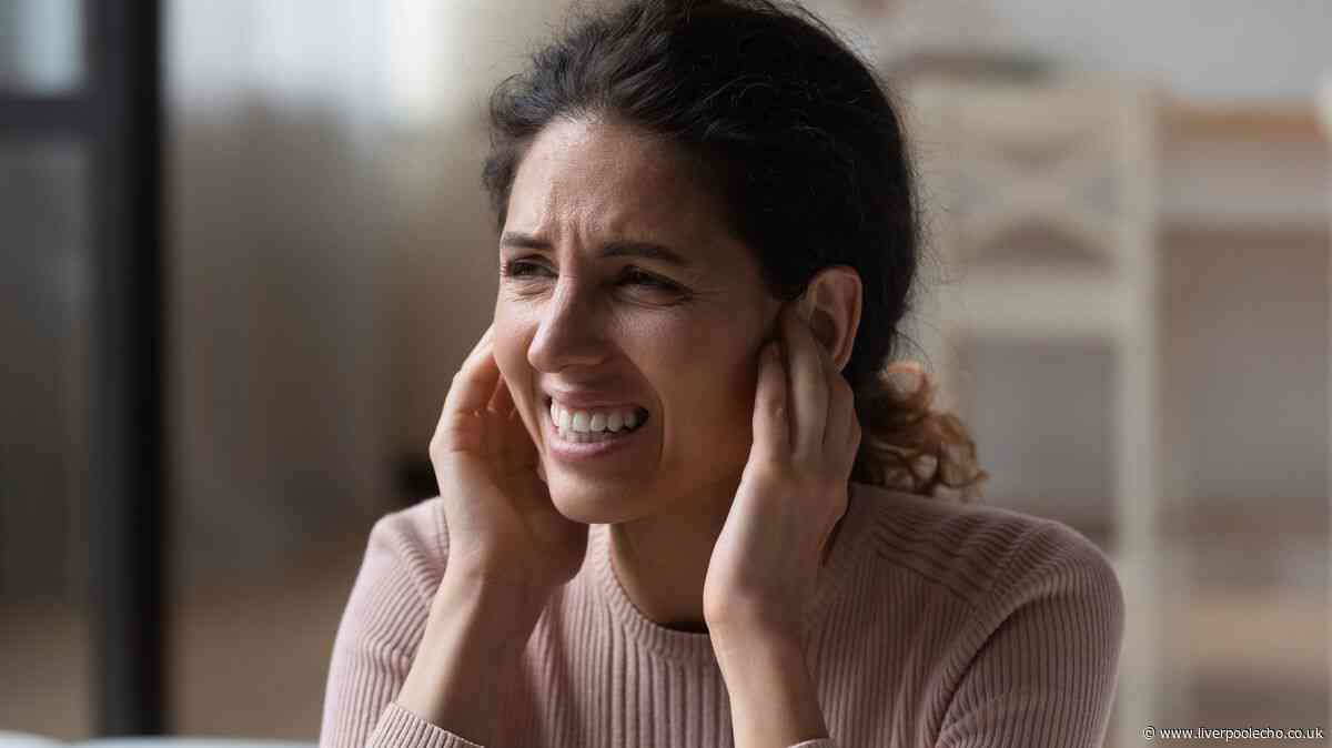 What are your legal rights if neighbours are noisy 11pm-7am - advice and laws