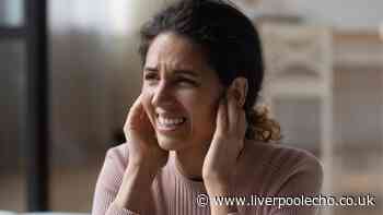 What are your legal rights if neighbours are noisy 11pm-7am - advice and laws