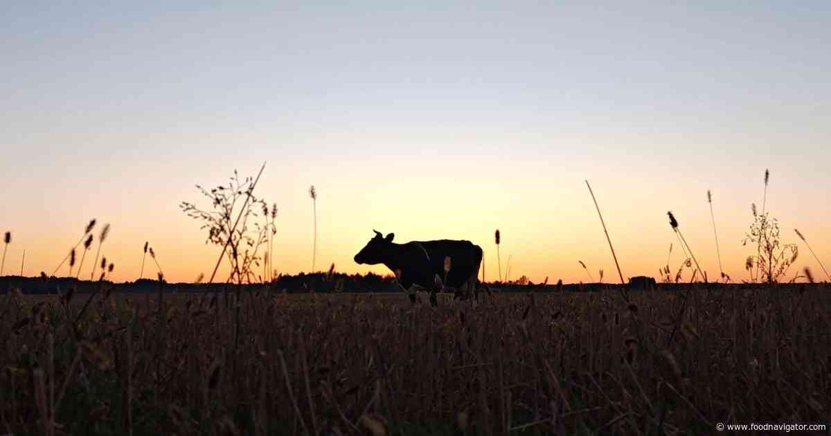 Applegate Farms explores regenerative agriculture’s next selling point: Nutrition
