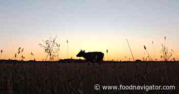 Applegate Farms explores regenerative agriculture’s next selling point: Nutrition