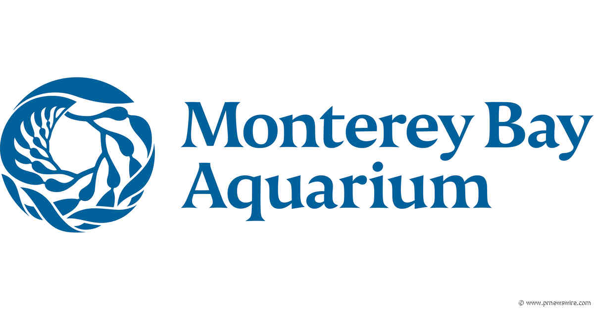 Monterey Bay Aquarium's Ocean in Motion / La Danza del Mar opens November 7, 2026