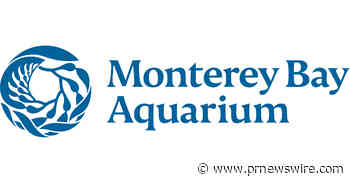 Monterey Bay Aquarium's Ocean in Motion / La Danza del Mar opens November 7, 2026