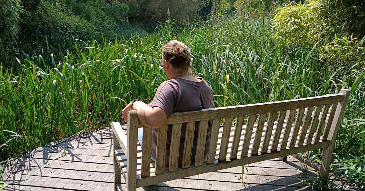 Even chillen? Met deze handige apps vind je alle bankjes in Enschede