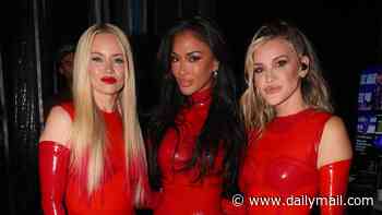 Pussycat Dolls forced to cut the price of their UK tour tickets to just £37 after scrapping 33 US dates when poor sales left arenas 80% empty