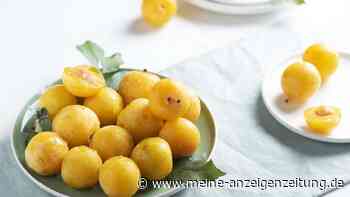 Mirabellensommer mit drei fruchtigen Rezepten