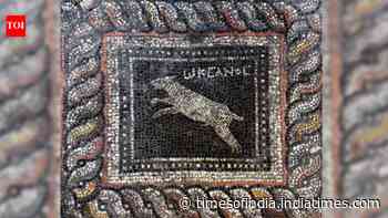 1,800 years ago, a Roman household decorated floor with cat and dog; archaeologists uncover mosaic