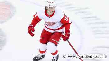 Redoing the Red Wings’ 2019 Draft Class