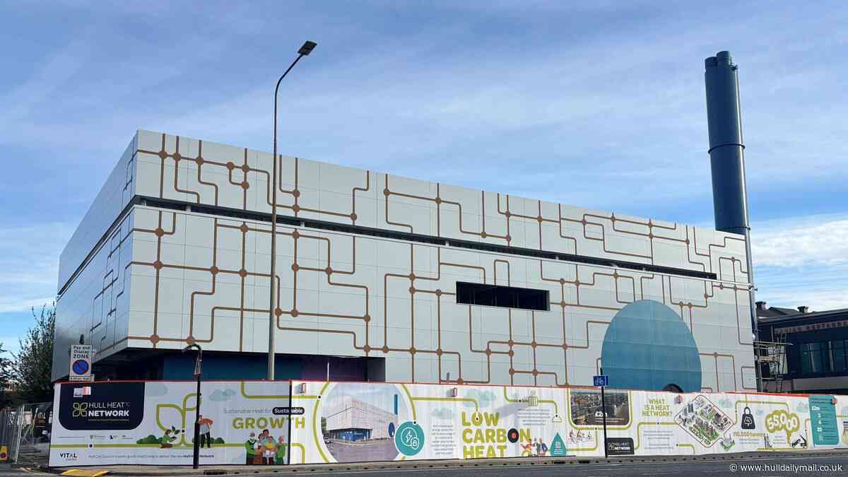 Hull artist draws on local knowledge to transform construction cladding into a work of art