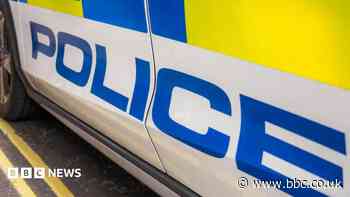 Man charged with owning out-of-control dogs