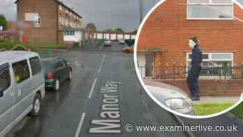 Boy, 16, quizzed over Michael Myers scare in Batley - police statement in full