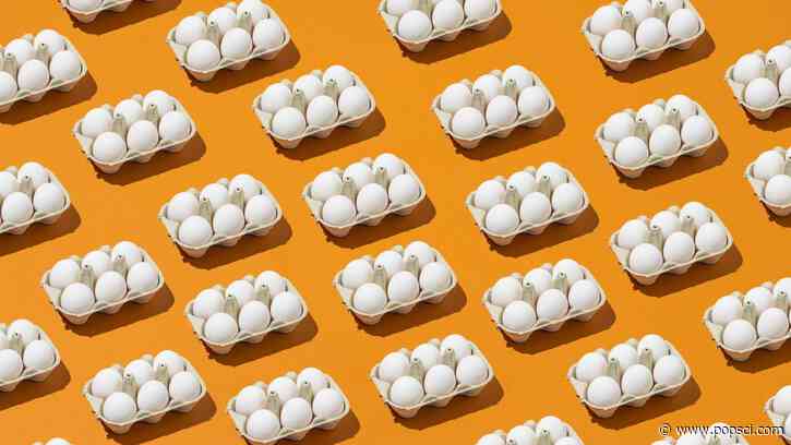 How the lowly egg could help protect future spacecraft