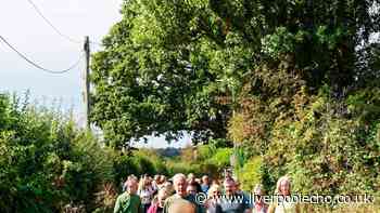Campaigners tell housing developer 'bring it on' in Maghull and Lydiate homes battle