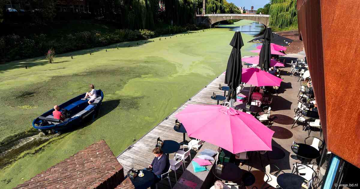 Voorbijgangers ruiken het meteen: wat zorgt voor de stinkende Dommel in het centrum van Den Bosch?