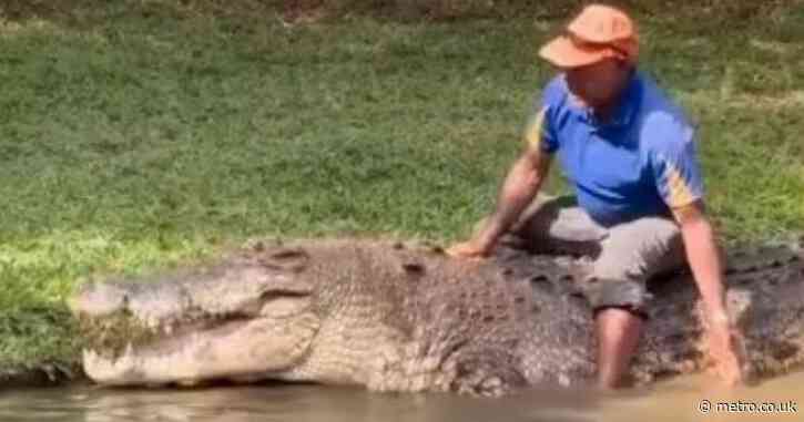 Zoo worker dragged into death roll and killed by crocodile after staff were filmed ‘taunting them’