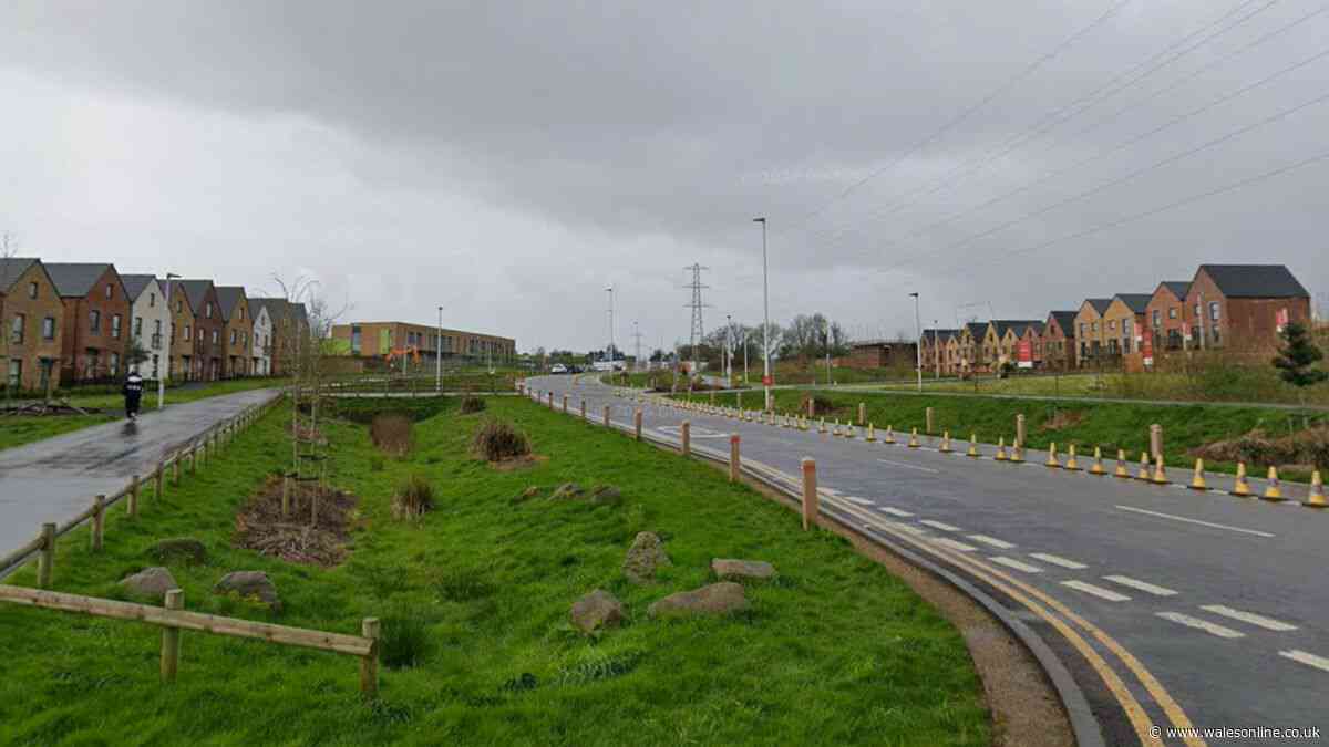 Green area planned for huge new Cardiff housing development scrapped