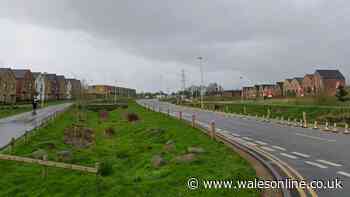 Green area planned for huge new Cardiff housing development scrapped